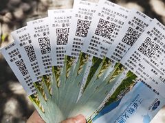 -三亚蜈支洲岛旅游区