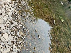 -丹山赤水风景名胜区
