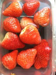 -金宝贝儿童摄影