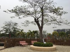 -荔湾区儿童公园