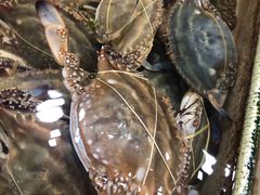 -恒达综合农贸市场(黄山路店)