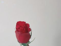 -瑞博尔花园酒店(太周创新产业园店)