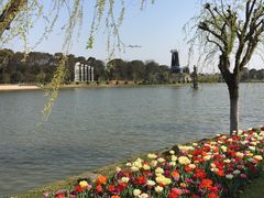 -上海鲜花港
