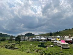 -关山牧场王师烤全羊