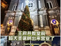 -王府井天主教堂