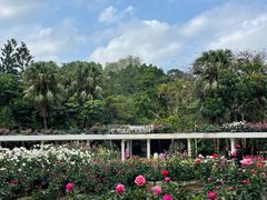 -人民公园(罗湖区)