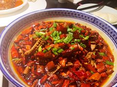 -陈麻婆豆腐总店