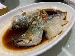 -双子楼大酒店(城开国际写字楼店)