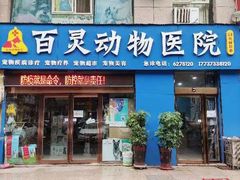 -百灵动物医院