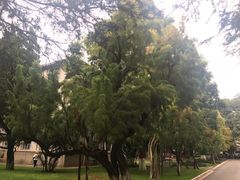 -云南师范大学(一二一西南联大校区)