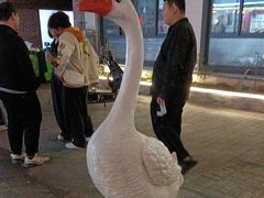 -巢湖名吃·东关老鹅汤(江南风情街店)