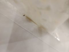 -PETIT PARIS 小巴黎(花园道店)