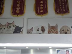 -爱侣宠医·鹦鹉专科·小型哺乳类·异宠专科(灵石路店)