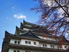 -名古屋城