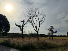 -祝甸砖窑文化馆