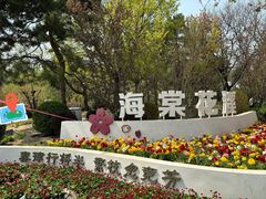 -海棠花溪(元大都城垣遗址公园)