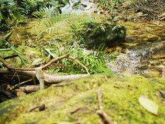 -飞霞风景名胜区