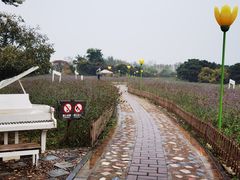 -密云玫瑰情园