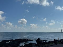 -涉地可支