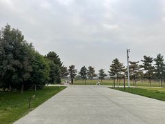 -汉长安城未央宫国家考古遗址公园