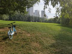 -长白岛森林公园