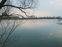 -野鸭湖国家湿地公园