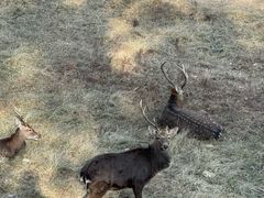 -大连武术文化博物馆