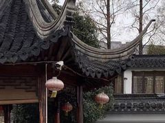 -三林塘老街
