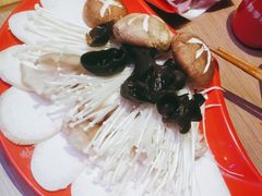 -季季红火锅(丰城洪客隆店)