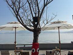 -东钱湖小普陀景区