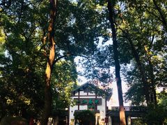 -一江春水·杭帮臻宴(三台山店)