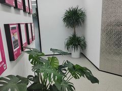 -新东方斯芬克艺术留学作品集培训(郑州校区)