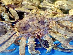 -蟹之国·精品蟹料理(极地店)