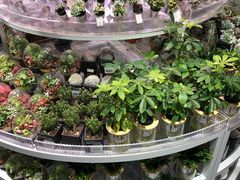 -KKV(深圳kk one 店)
