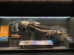 -贝林大翅鲸简餐厅(国家海洋博物馆店)