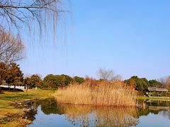 -尚贤河湿地