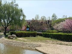 -河北省园博园