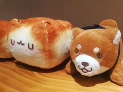 -柴务处·柴犬主题狗咖