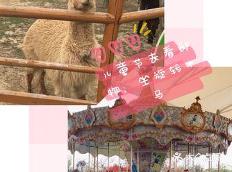 可以看动物、坐旋转木马的游乐园，活动多多