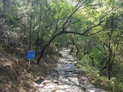 -阳台山自然风景区