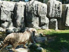 -北京野生动物园