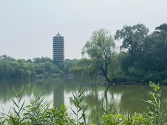 -大益膳房(华腾科技大厦店)