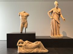 -扎耶德国家博物馆