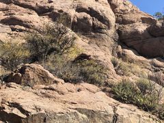 -红山国家森林公园