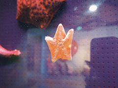 -台州海洋世界