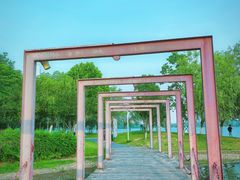 -天鹅湖体育公园