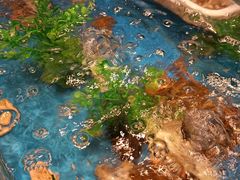 -湊湊火锅·茶憩(石家庄万象城店)