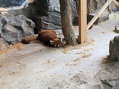 -绿色星球动物主题公园