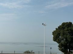 -美味之家·湖景农家乐(太湖东山店)