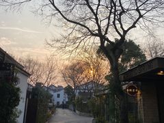 -西溪国家湿地公园